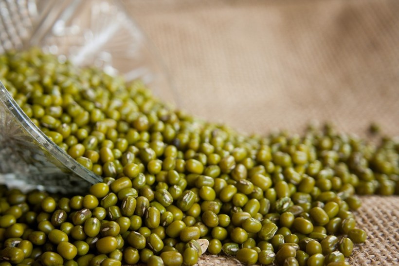 Mung Bean Is The Overlooked Superfood That Can Even Replace Meat