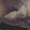Yosemite Creek Basin Case: When a Wildfire Isn’t That Bad 