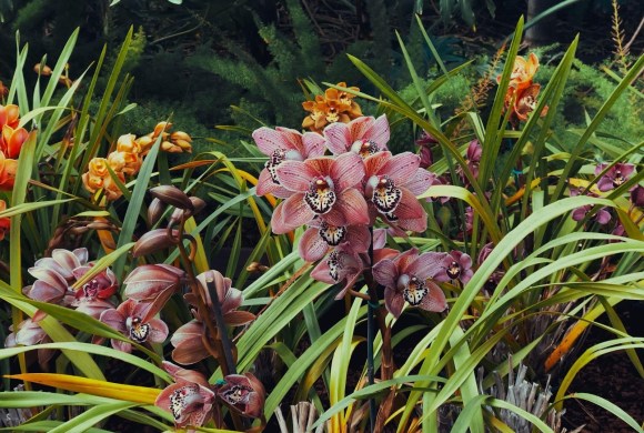 flower garden design beautiful