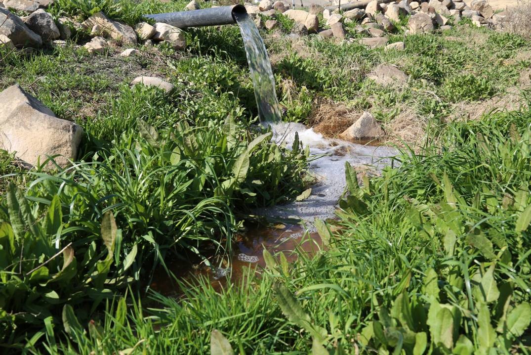 treated wastewater for agriculture in Jordan. Photo by Ghazi Al Jabri Wikimedia Commons