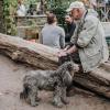 Senior Adults may have Lower Risk of Disability when Having Dogs