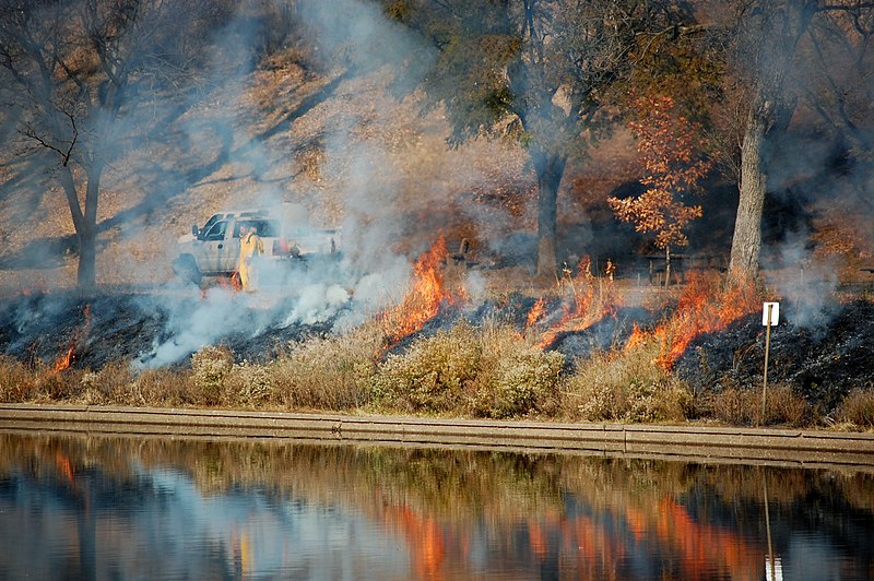 What Is Controlled Burn And How Useful Is It?