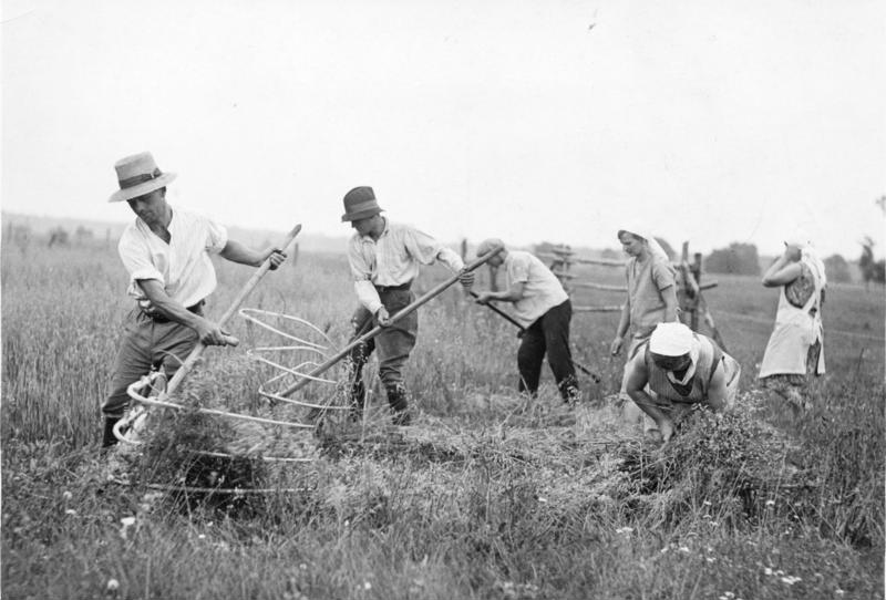 Scything is Making a Comeback: Why is It?