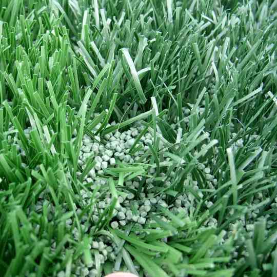 Replacing Your Grass Lawn With Clover, Why Not?