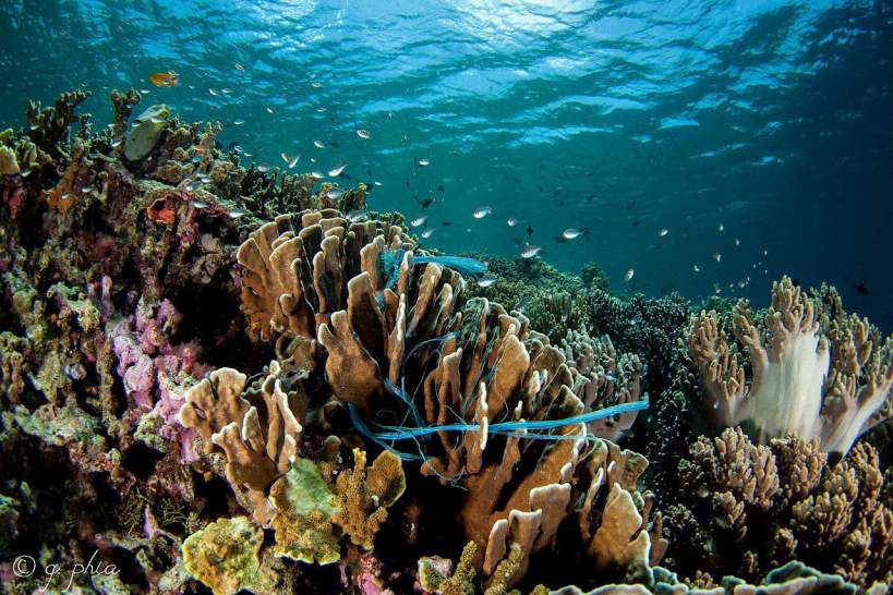 Indonesia’s Plastic Pollution: The Problem and the Efforts so Far