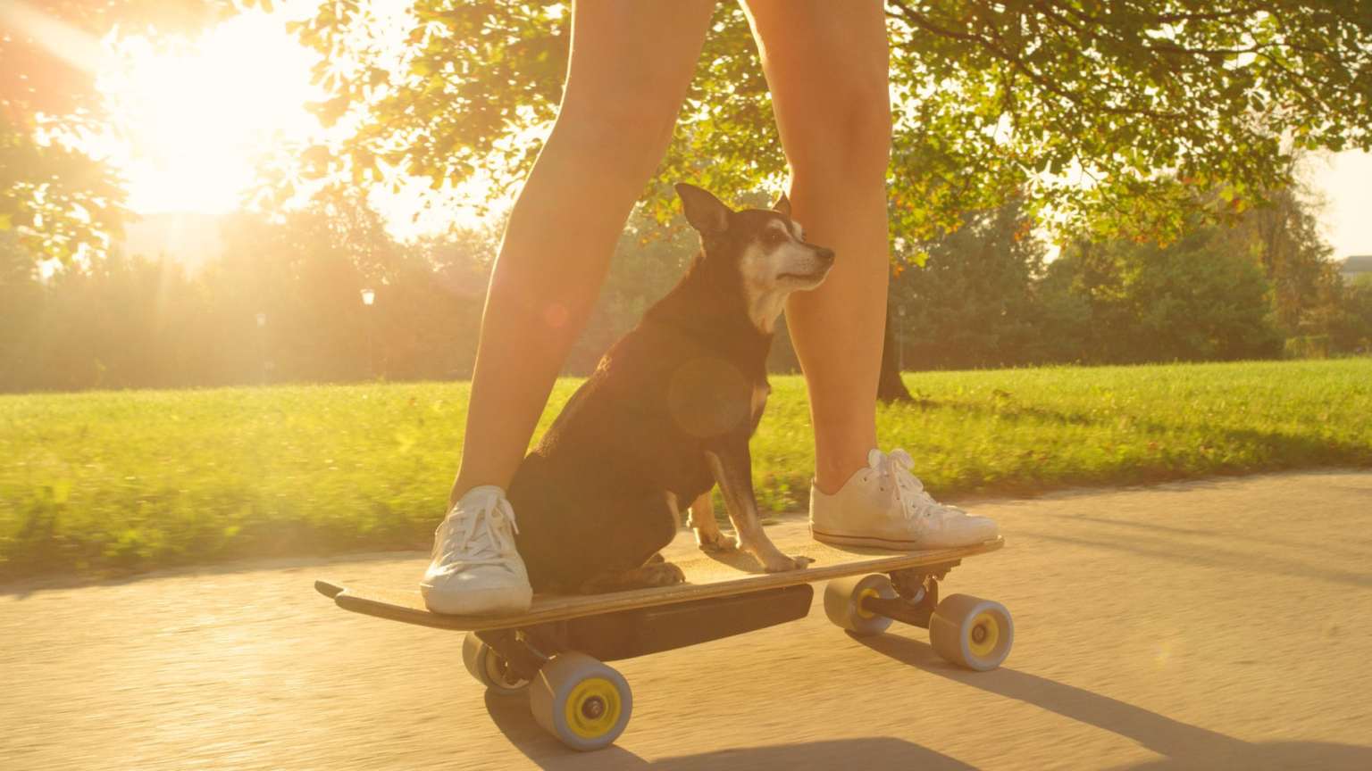 Skateboard For The Environment 5 Beginner Tips And Advice