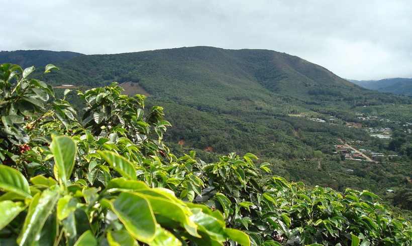 Look at Latin America Plans for Better Food for Everyone