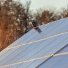 Environmental Issue of Solar Panel Waste: Will It be Unreliable? 