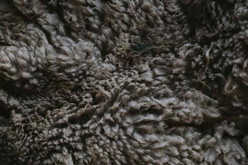 Is Wool One of the Key Materials for Clothing in the Future? Is Wool One of the Key Materials for Clothing in the Future?
