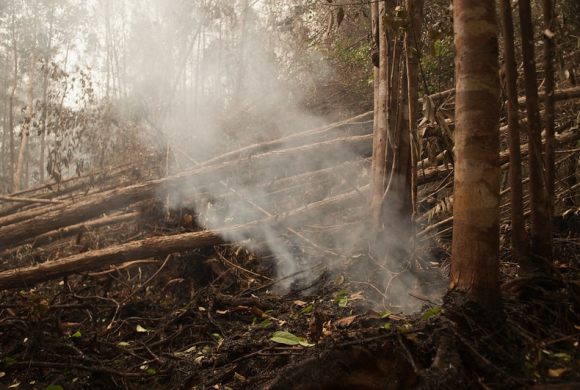 peat fires