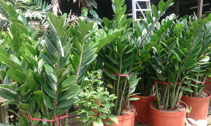 Transform Your Home with Eco-Friendly Decor Choices