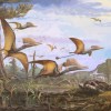 The New Pterosaur Fossil Called Ceoptera Unearthed in Scotland