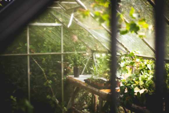 How Greenhouses Can Help Improve the Quality of Fruits and Vegetables