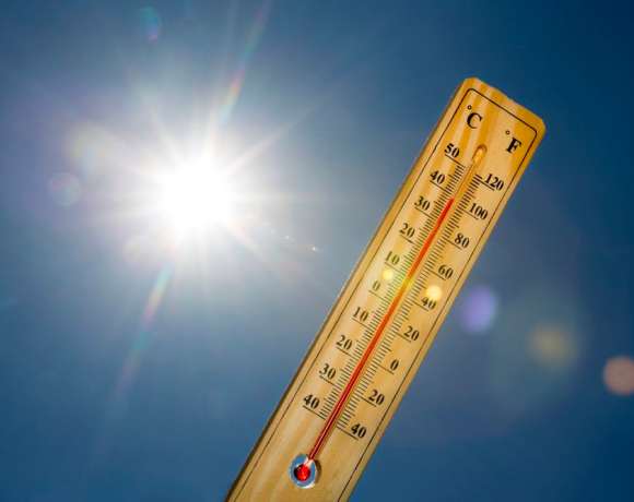 France’s Deadly Heatwave Killed Farm Animals