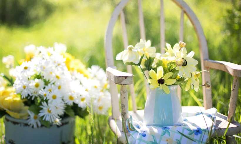 Green Gardening on the Go: Sustainable Tips for Moving Your Garden