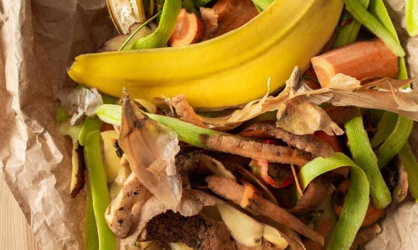 We Can Reduce Almost Half of 1.3 Billion Tons of Food Waste by Improving Refrigeration