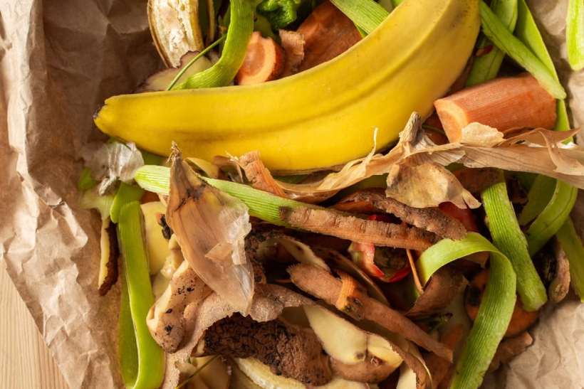 We Can Reduce Almost Half of 1.3 Billion Tons of Food Waste by Improving Refrigeration