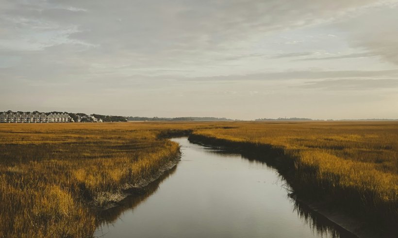 Decomposition Rates in Waterways Get Faster Now; That May Threaten Biodiversity and Worsen Climate Change