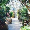 Why Are Greenhouses So Popular?