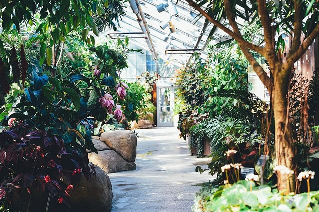 Why Are Greenhouses So Popular? Why Are Greenhouses So Popular?