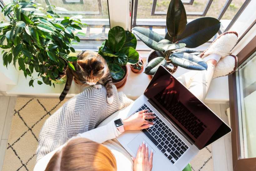 Planet-Friendly Remote Work: How to Reduce Your Environmental Impact from Home