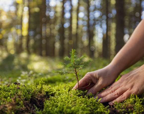 Indonesia and Norway Fighting for Forests Together Indonesia and Norway Fighting for Forests Together