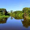 A Beginner’s Guide to Understand Pantanal