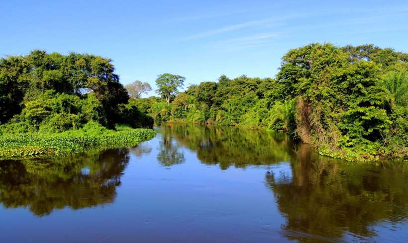 A Beginner’s Guide to Understand Pantanal