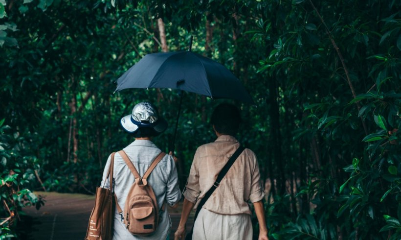 How A Small Country Becomes A Safe Haven for Critically Endangered Bird How A Small Country Becomes A Safe Haven for Critically Endangered Bird