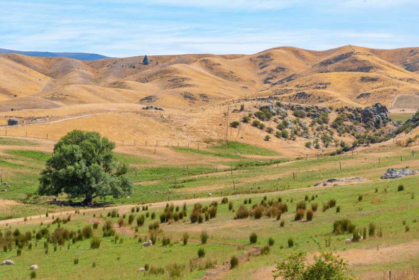 How to Keep Your Garden Green in Dry and Arid Regions