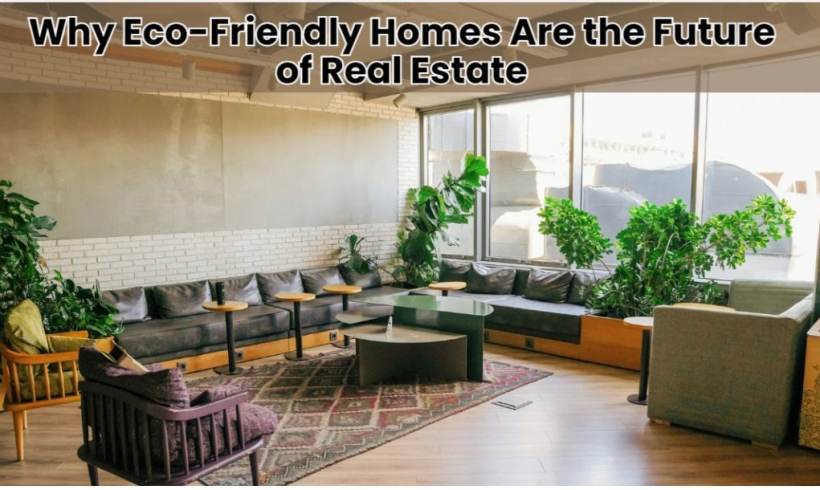 Why Eco-Friendly Homes Are the Future of Real Estate