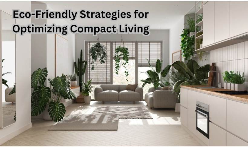 Eco-Friendly Strategies for Optimizing Compact Living