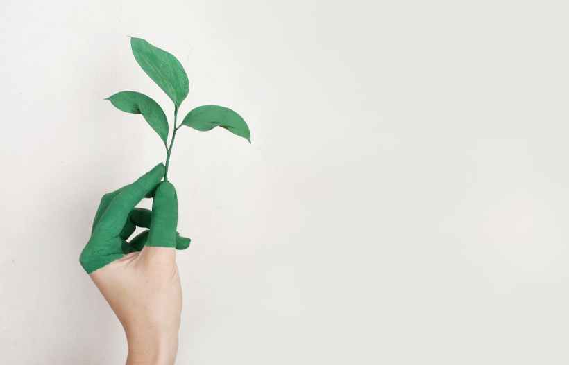 6 Simple Ways To Stay Green In Your Life