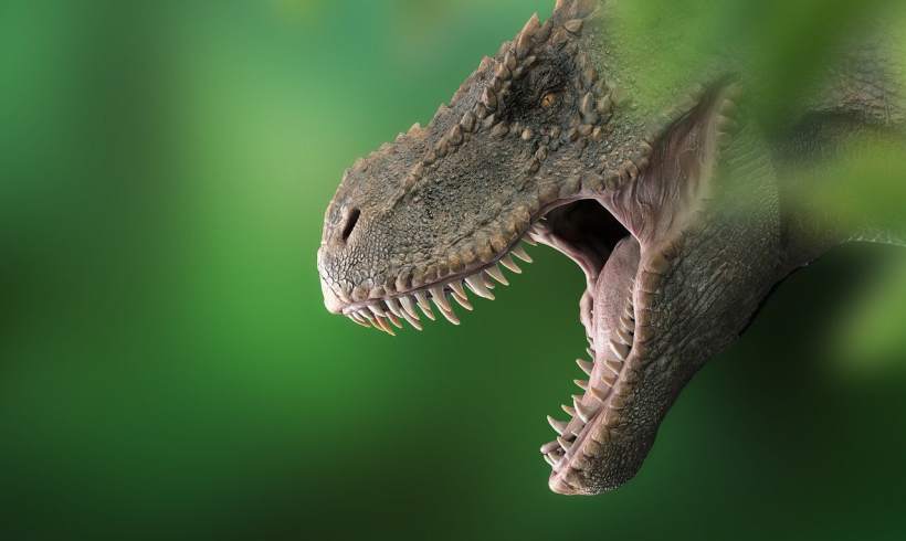 Dinosaur Fossils – Fun  Facts About Dinosaurs