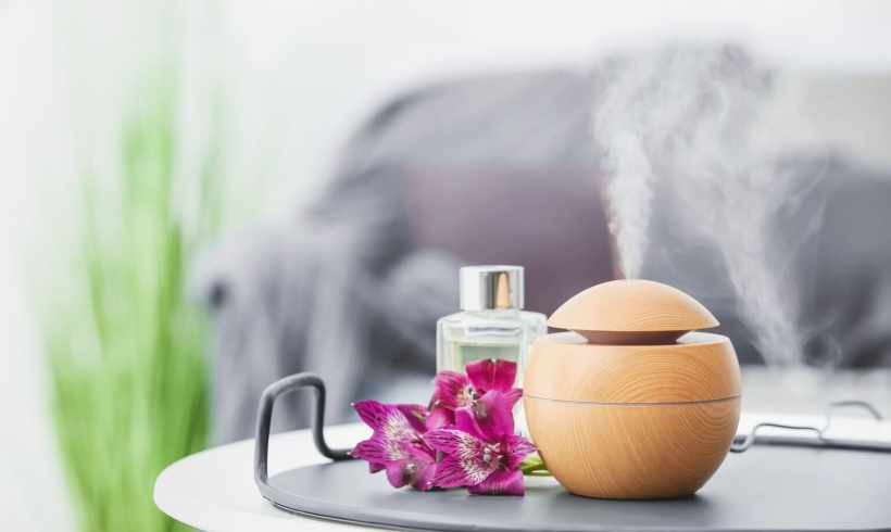 Why Organic Air Fresheners Are the Best Choice for Your Home