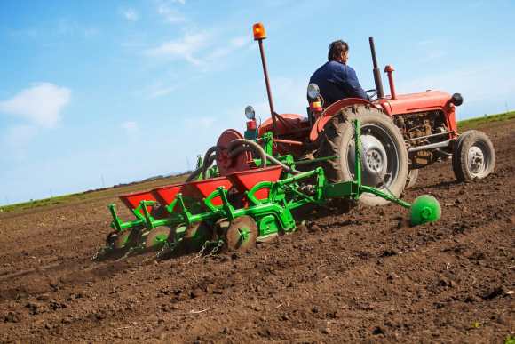 Farmer in  Old-fashioned tractor sowing crops at field