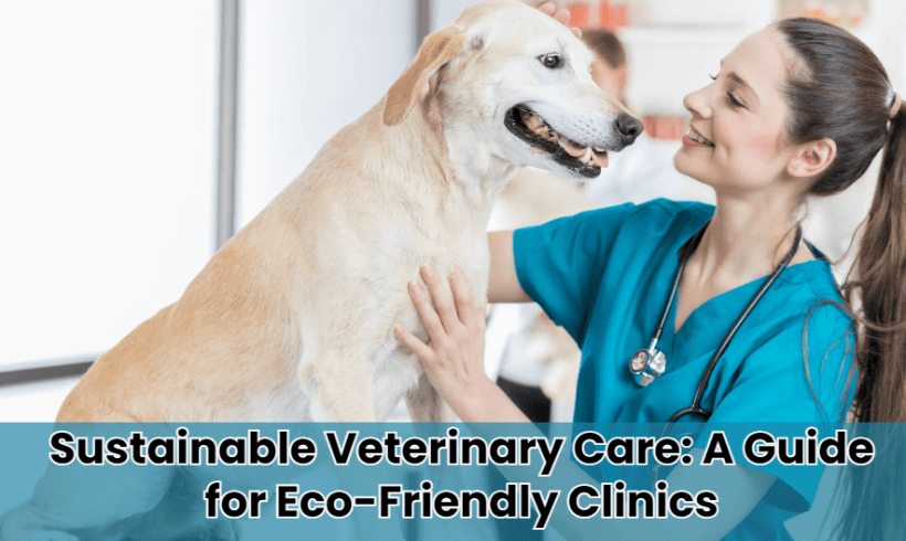 Sustainable Veterinary Care: A Guide for Eco-Friendly Clinics
