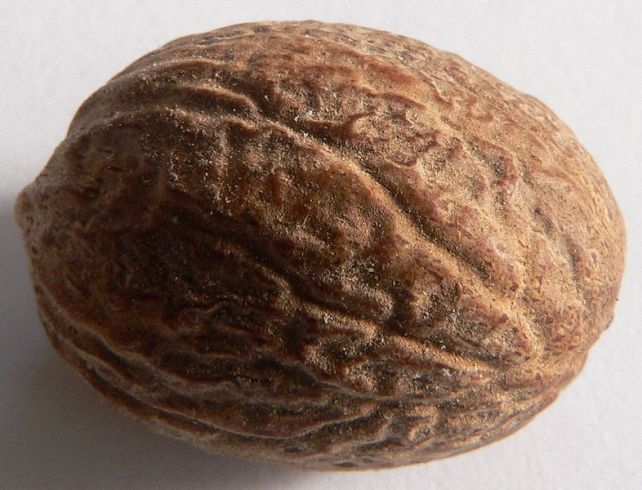 Nutmeg, but not the ‘Football’ Nutmeg Nutmeg, but not the ‘Football’ Nutmeg