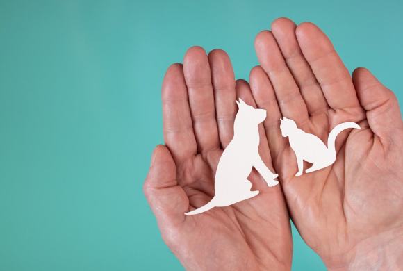 A Piece of Paper can Bring Nature Back?