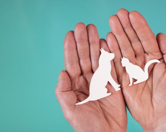 A Piece of Paper can Bring Nature Back? A Piece of Paper can Bring Nature Back?