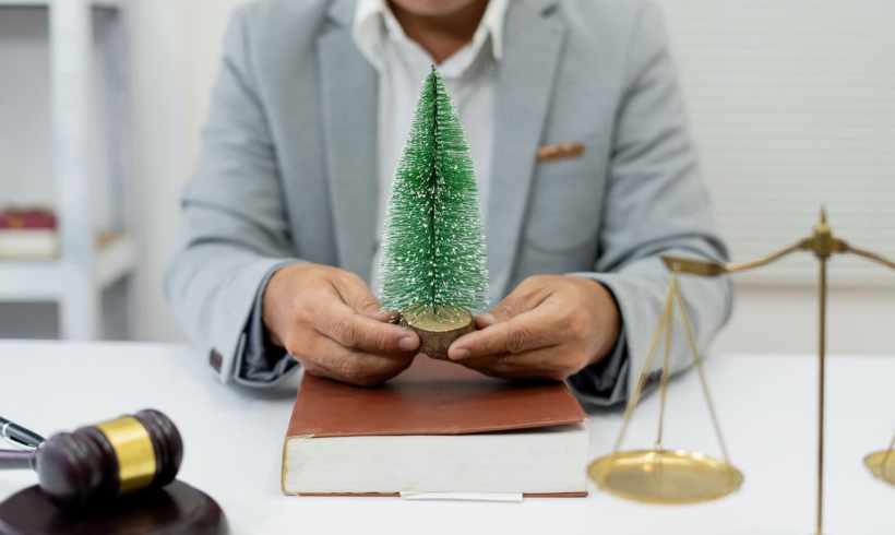 Free Trees for Everyone to Plant!