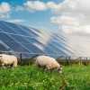 How Clean Energy Powers Eco-Friendly Agricultural Projects