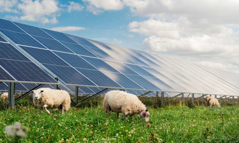 How Clean Energy Powers Eco-Friendly Agricultural Projects How Clean Energy Powers Eco-Friendly Agricultural Projects