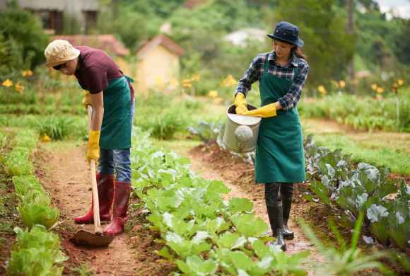 Photo by pressfoto from Freepik.com Alt Text: male and female farmers working together