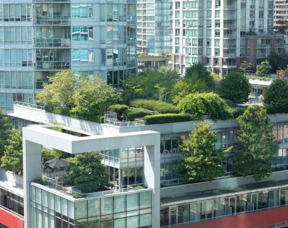 The Problem of Cities Without Trees The Problem of Cities Without Trees