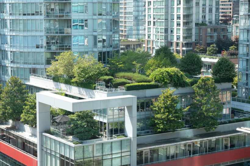 The Problem of Cities Without Trees