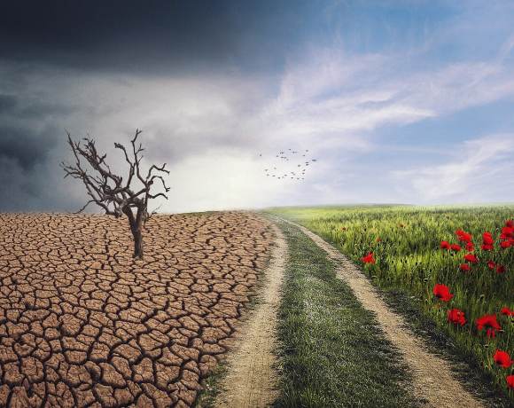 The El Nino Lottery From Bad to (Maybe) Good