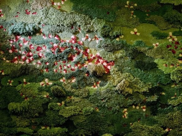 rugs Alexandra-Kehayoglou