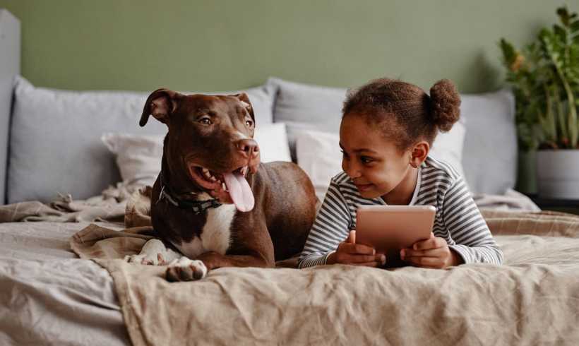 How to Create a Safe Home for Your Family and Pets