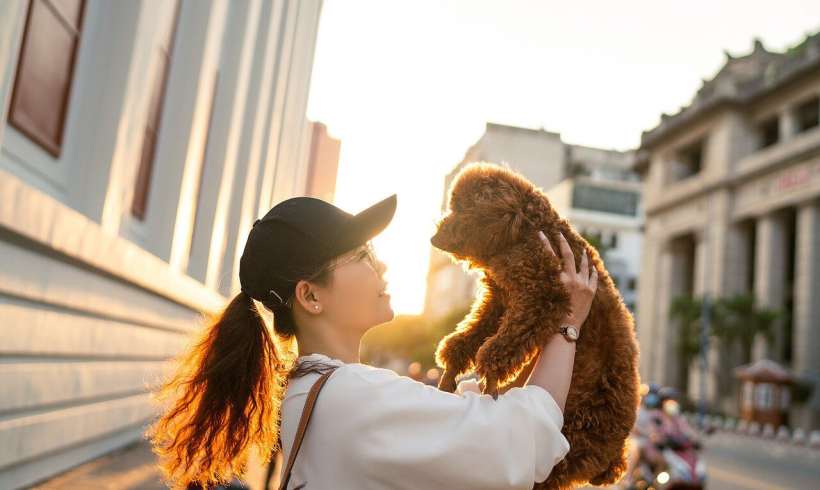 How to Strengthen the Bond with Your Dog